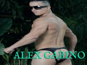ALEX_GABINO