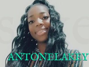 ANTONELAKEYS