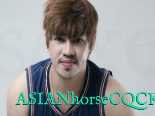 ASIANhorseCQCK