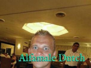 Alfamale_Dutch
