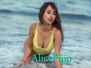 AlicePipp