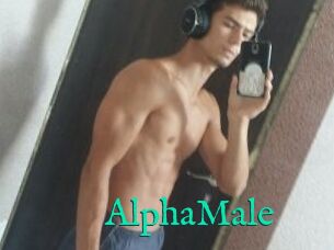 AlphaMale