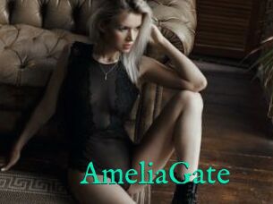 AmeliaGate