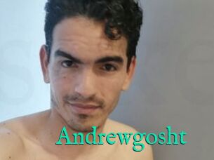 Andrewgosht