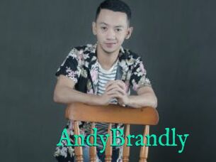 AndyBrandly