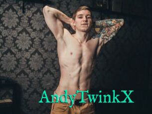 AndyTwinkX