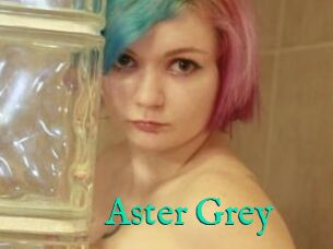 Aster_Grey