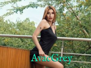 AvacGrey