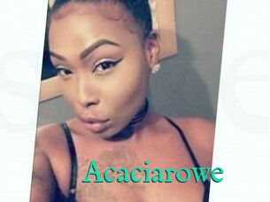 Acacia_rowe