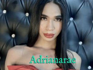 Adrianarae