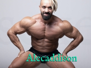 Alecaddison