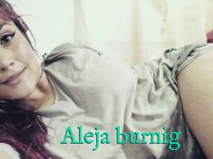 Aleja_burnig