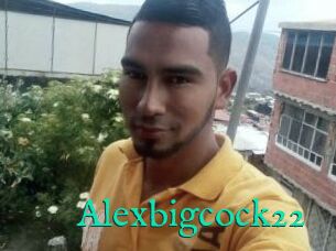 Alexbigcock22