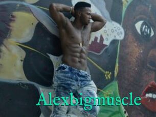 Alexbigmuscle
