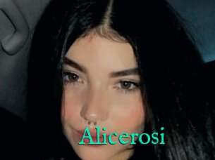 Alicerosi
