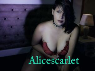 Alicescarlet