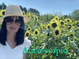 Alicescorpio