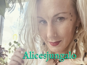 Alicesjungalo