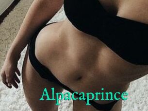 AlpacaPrince