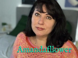 Amandafllower