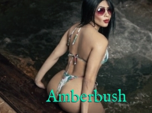 Amberbush