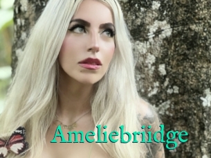 Ameliebriidge