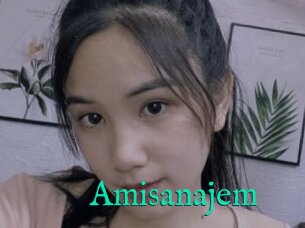 Amisanajem