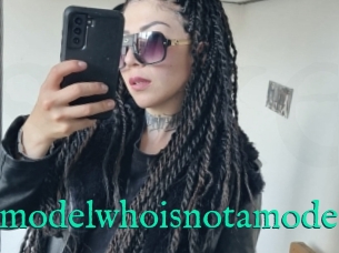 Amodelwhoisnotamodel