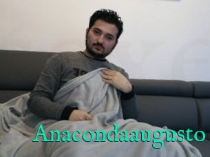 Anacondaaugusto