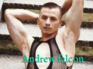 Andrew_falcon