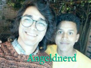 Angeldnerd