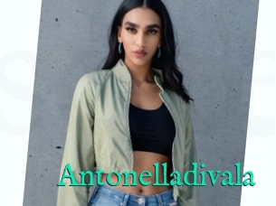 Antonelladivala