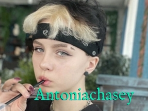 Antoniachasey