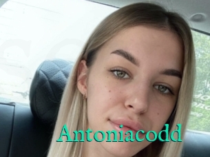 Antoniacodd