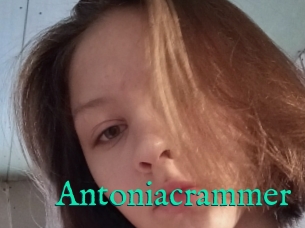 Antoniacrammer