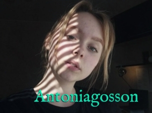 Antoniagosson