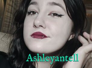 Ashleyantell