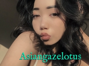Asiangazelotus