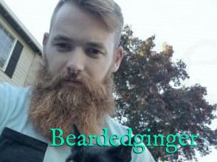 Beardedginger