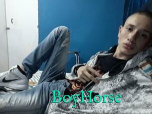 BoyHorse
