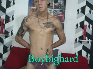 Boybighard