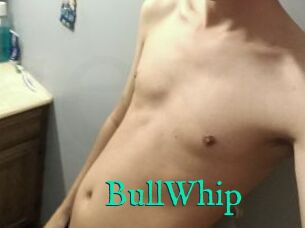 BullWhip