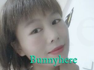 Bunnyhere