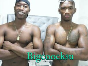 Bigcoocksu