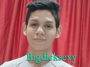 Bigdicksexy