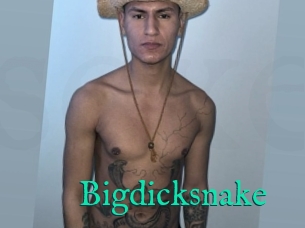 Bigdicksnake