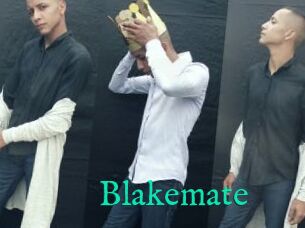 Blakemate