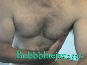 Bobbbluejay2530