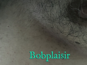 Bobplaisir