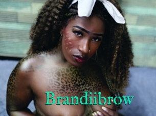 Brandiibrow